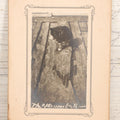 Lot 079 - Antique Boarded Photograph Of Cat Named Smarty Cleaning Himself, With Caption "The Afternoon Bath"