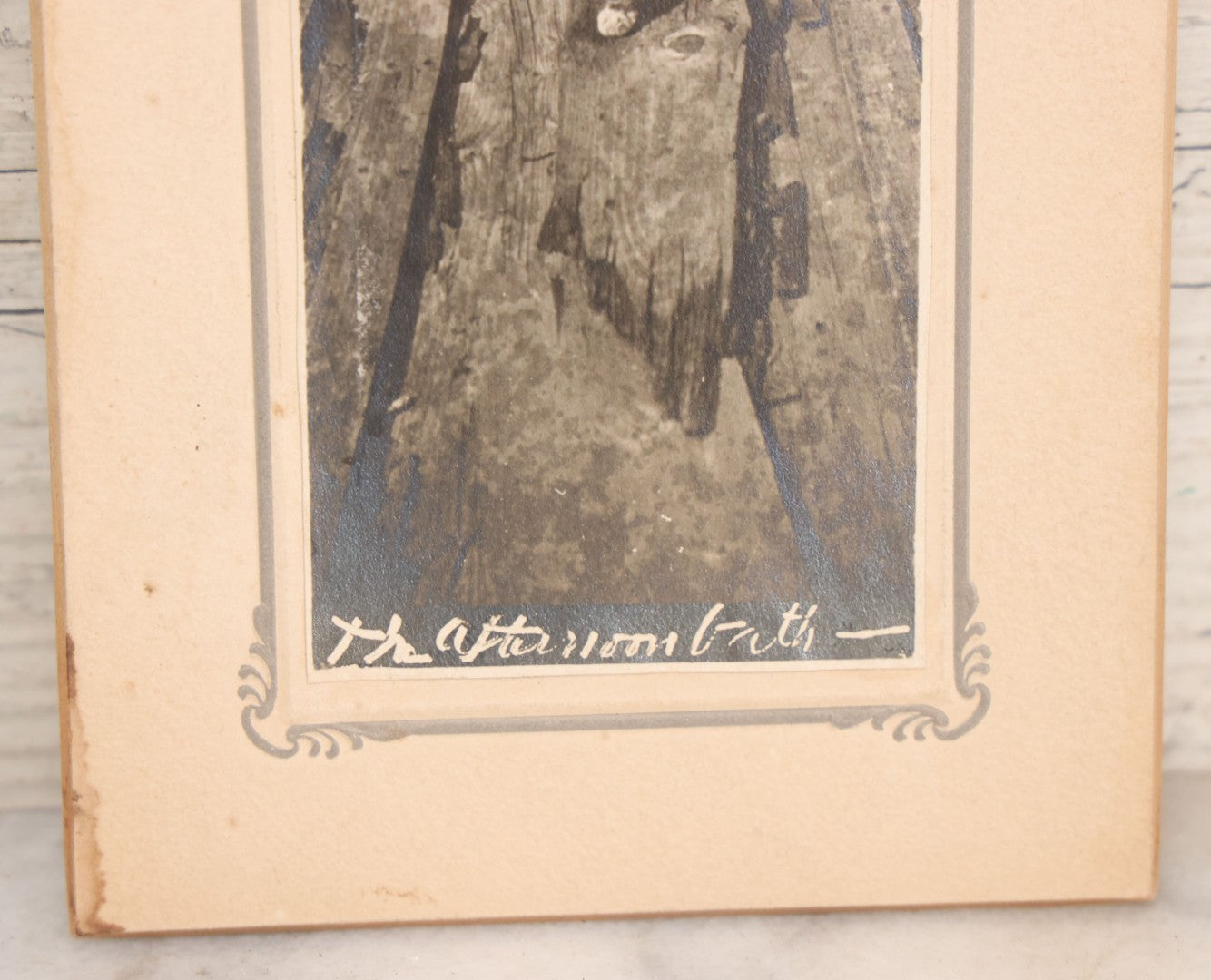 Lot 079 - Antique Boarded Photograph Of Cat Named Smarty Cleaning Himself, With Caption "The Afternoon Bath"