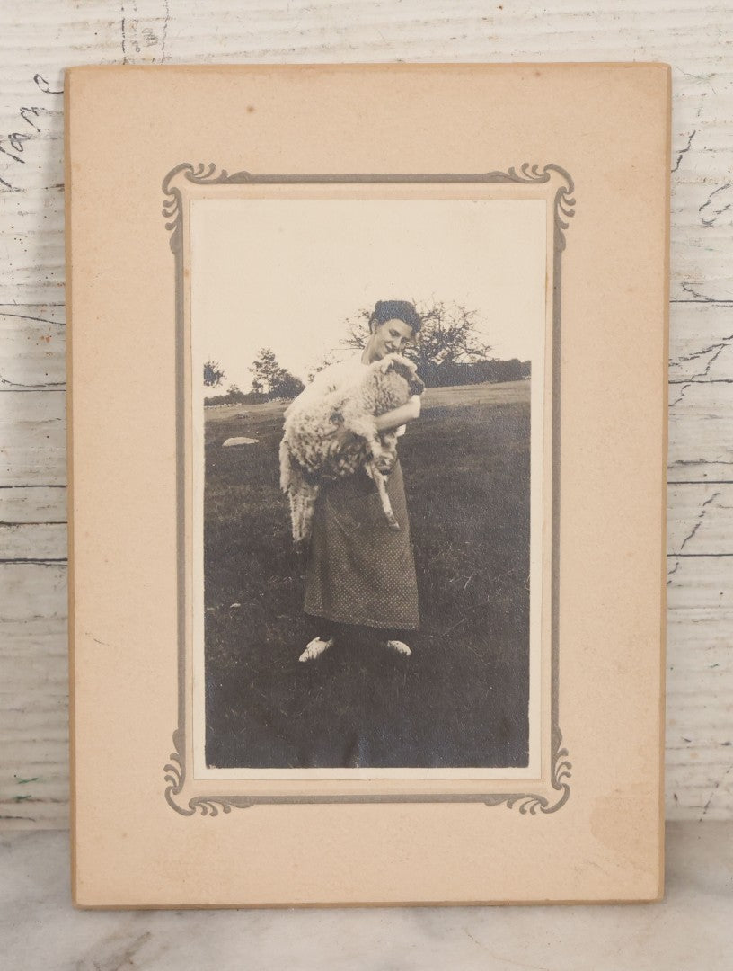 Lot 080 - Antique Boarded Photograph Of Woman Holding Fluffy Sheep On Farm