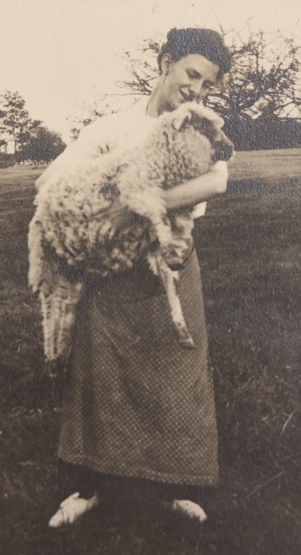 Lot 080 - Antique Boarded Photograph Of Woman Holding Fluffy Sheep On Farm