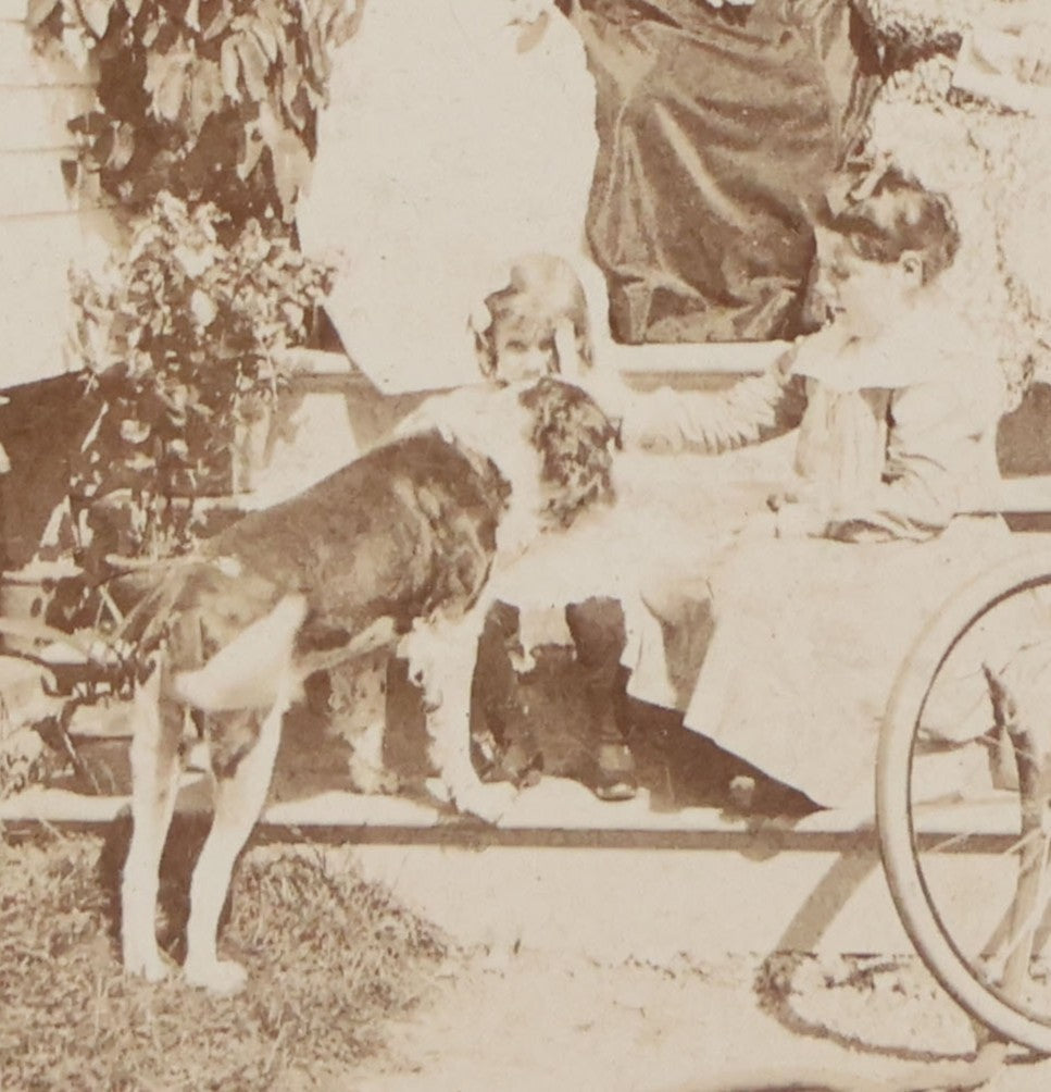 Lot 082 - Antique Boarded Photograph Of Group Of Men Women And Children Standing On Stoop Of Home With Dog And Bicycle