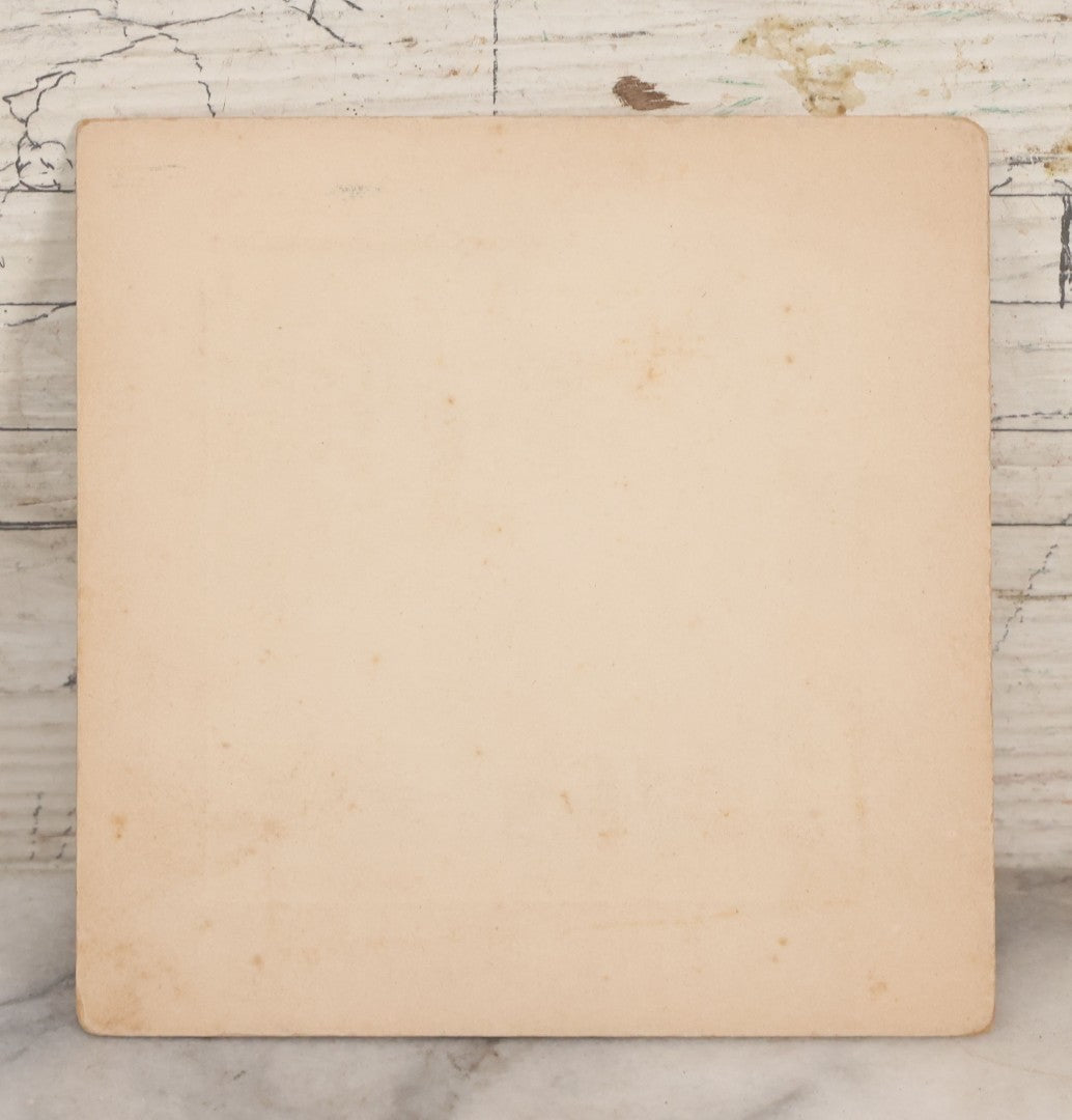 Lot 082 - Antique Boarded Photograph Of Group Of Men Women And Children Standing On Stoop Of Home With Dog And Bicycle