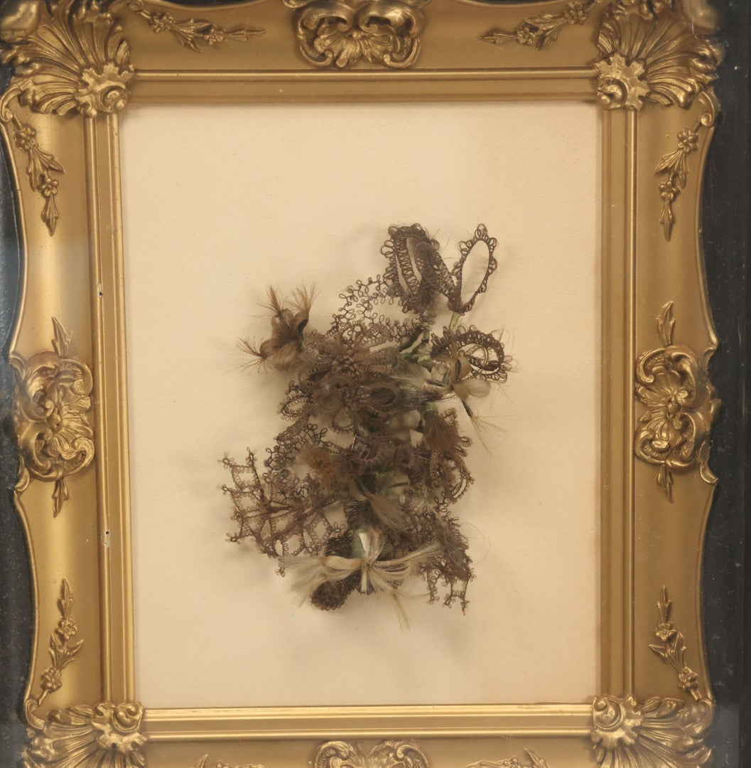 Lot 005 - Antique Victorian Hair Work Flower In Double Frame Shadow Box With Blond, Brown, And Gray Hair, Note Not Original Frame 11-1/2" x 13-3/8"