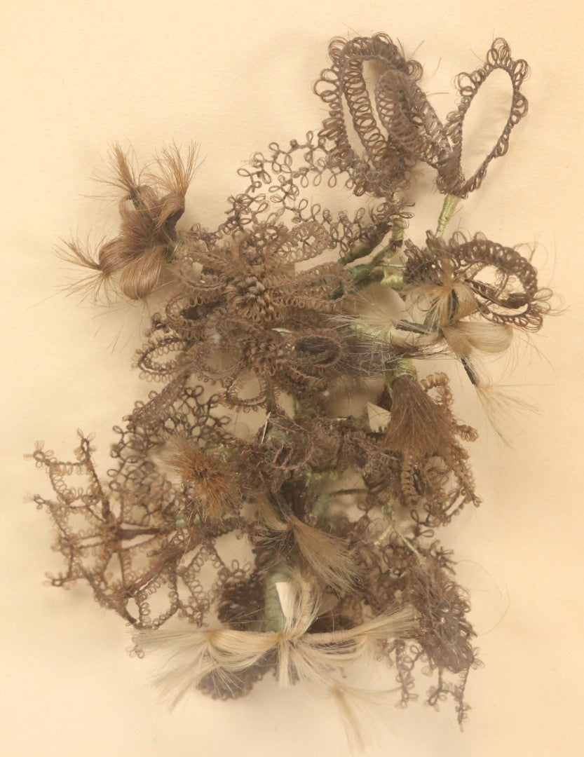 Lot 005 - Antique Victorian Hair Work Flower In Double Frame Shadow Box With Blond, Brown, And Gray Hair, Note Not Original Frame 11-1/2" x 13-3/8"