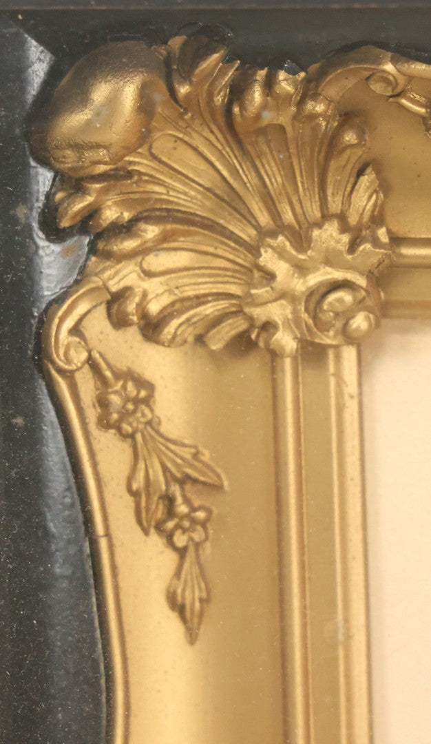 Lot 005 - Antique Victorian Hair Work Flower In Double Frame Shadow Box With Blond, Brown, And Gray Hair, Note Not Original Frame 11-1/2" x 13-3/8"