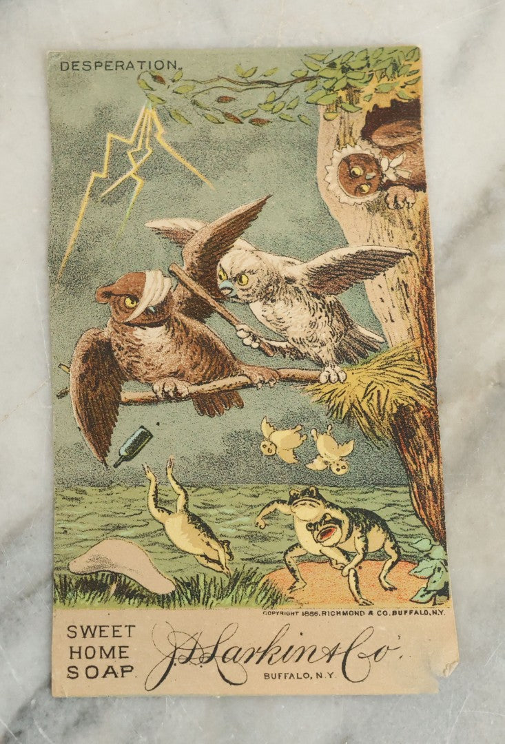Lot 100 - Series Of Four Antique Lithograph Trade Cards Featuring Owls And Frogs Advertising J.S. Larkin & Co. Sweet Home Soap, Buffalo, New York, Copyright 1886, Richmond & Co., Including Consummation, Admiration, Restoration, And Desperation