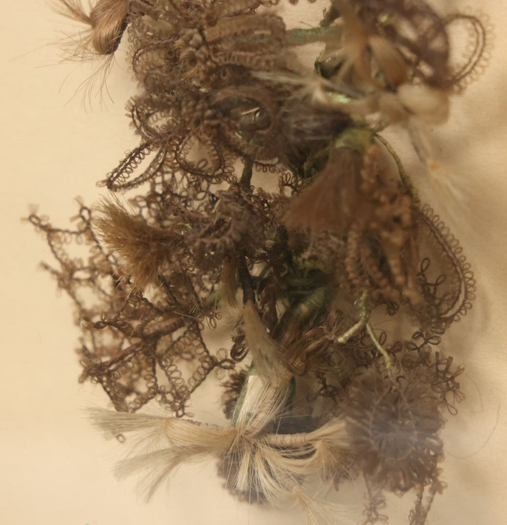 Lot 005 - Antique Victorian Hair Work Flower In Double Frame Shadow Box With Blond, Brown, And Gray Hair, Note Not Original Frame 11-1/2" x 13-3/8"