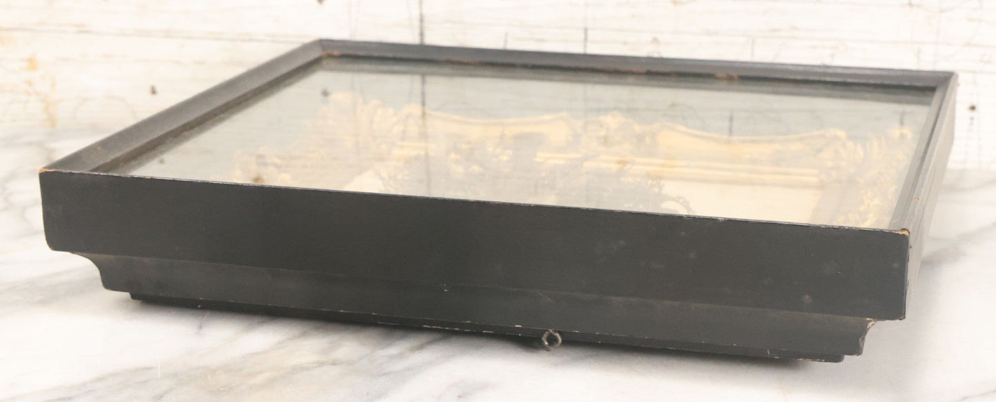 Lot 005 - Antique Victorian Hair Work Flower In Double Frame Shadow Box With Blond, Brown, And Gray Hair, Note Not Original Frame 11-1/2" x 13-3/8"