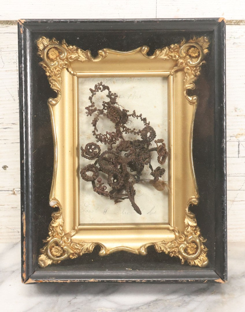 Lot 006 - Antique Victorian Hair Work Flower In Double Frame Shadow Box With Brown Hair, Note Not Original Frame 6-7/8" x 8-7/8"