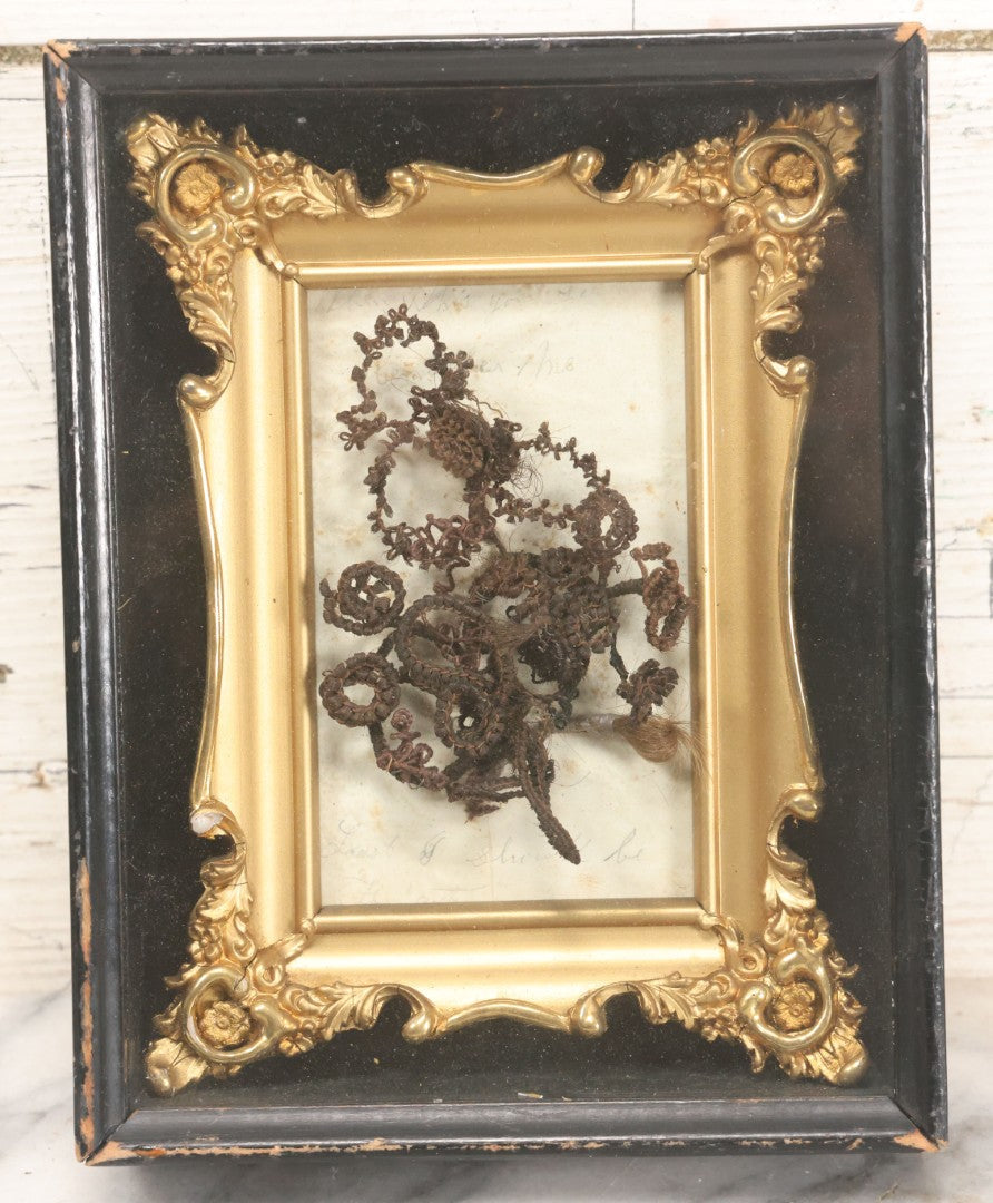 Lot 006 - Antique Victorian Hair Work Flower In Double Frame Shadow Box With Brown Hair, Note Not Original Frame 6-7/8" x 8-7/8"
