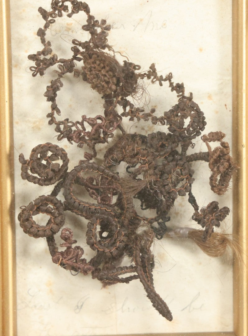 Lot 006 - Antique Victorian Hair Work Flower In Double Frame Shadow Box With Brown Hair, Note Not Original Frame 6-7/8" x 8-7/8"