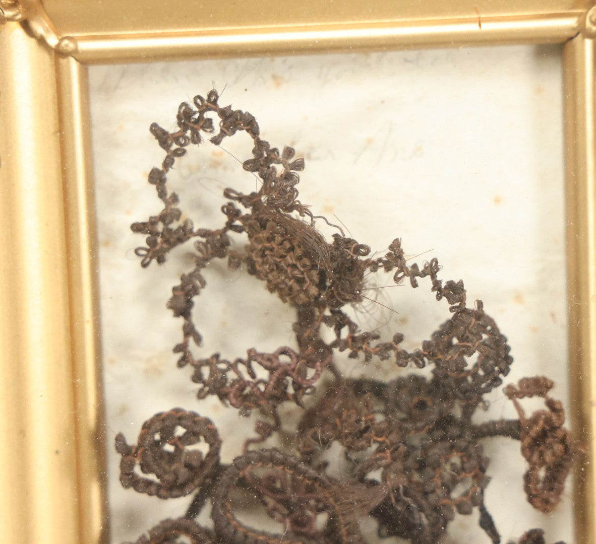 Lot 006 - Antique Victorian Hair Work Flower In Double Frame Shadow Box With Brown Hair, Note Not Original Frame 6-7/8" x 8-7/8"