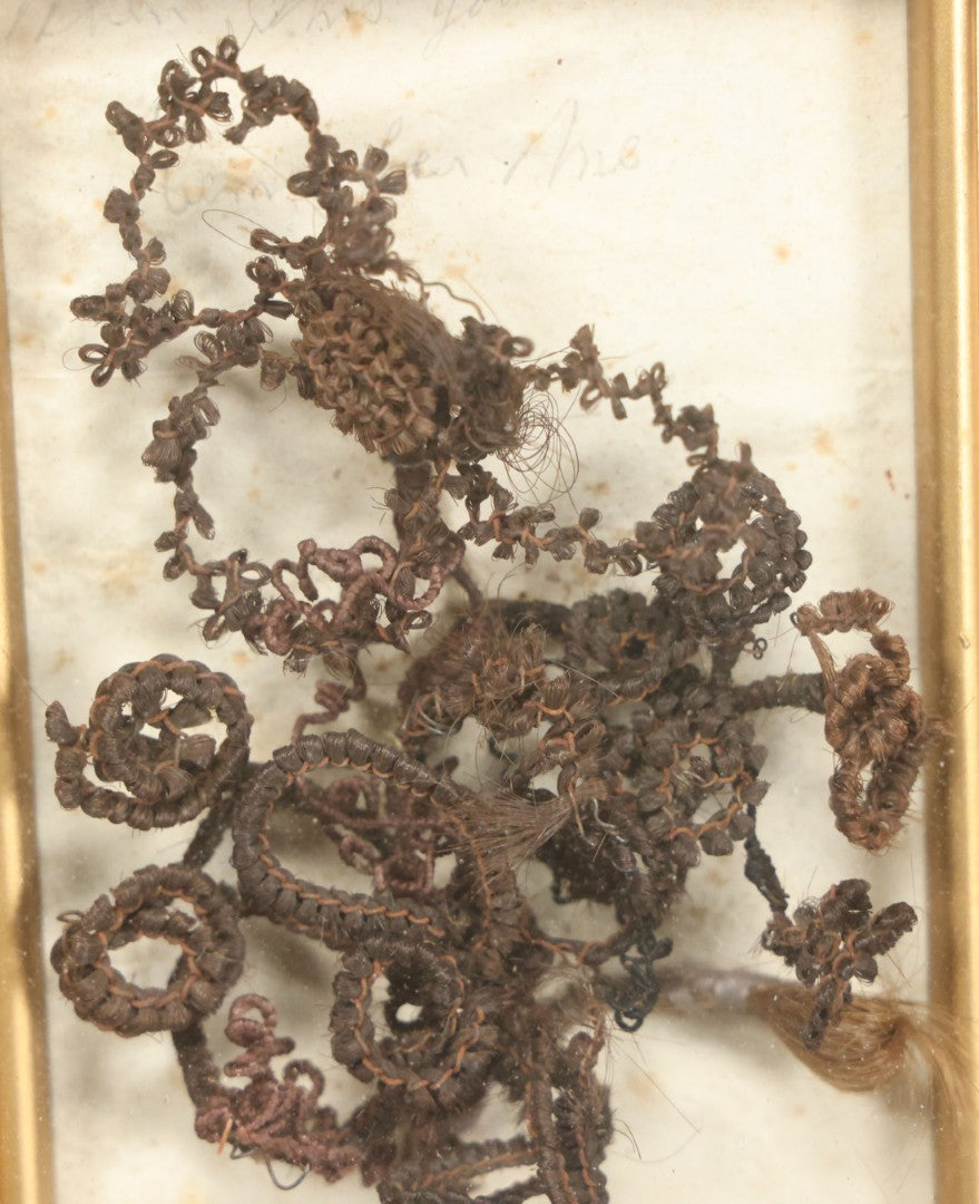 Lot 006 - Antique Victorian Hair Work Flower In Double Frame Shadow Box With Brown Hair, Note Not Original Frame 6-7/8" x 8-7/8"