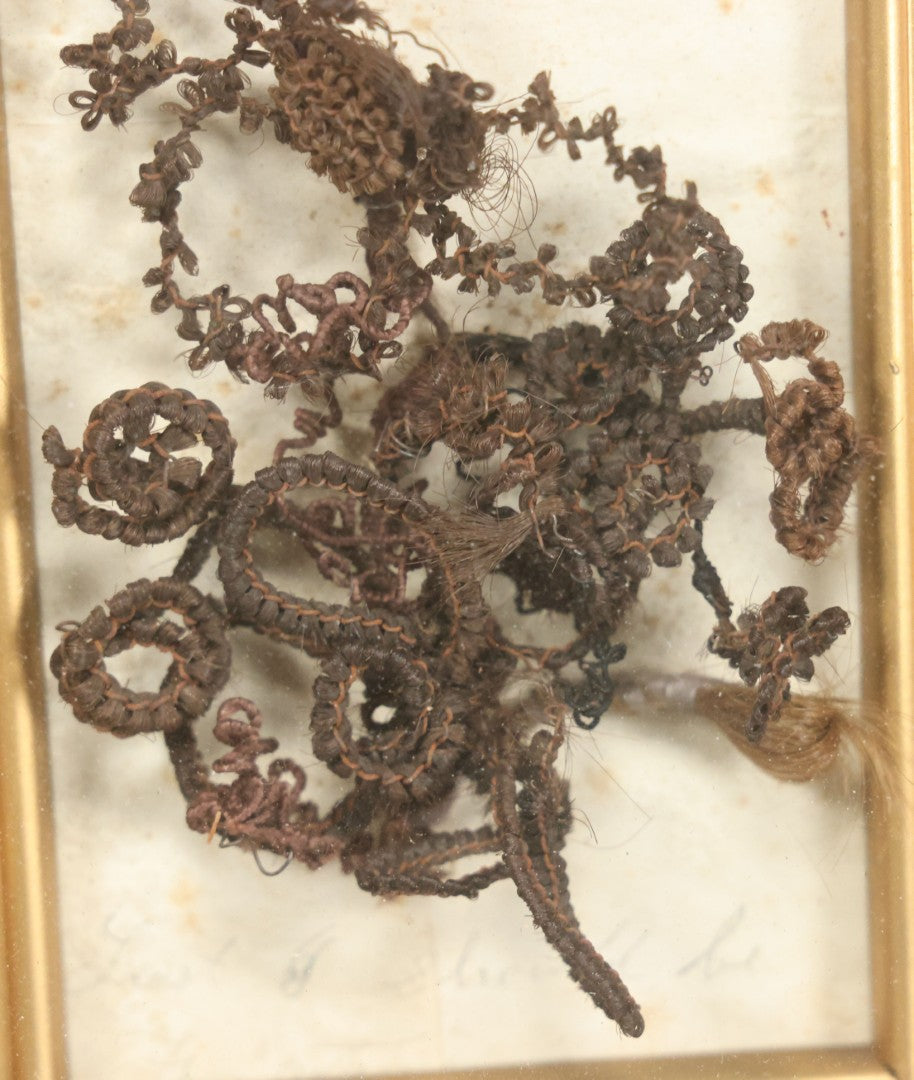 Lot 006 - Antique Victorian Hair Work Flower In Double Frame Shadow Box With Brown Hair, Note Not Original Frame 6-7/8" x 8-7/8"