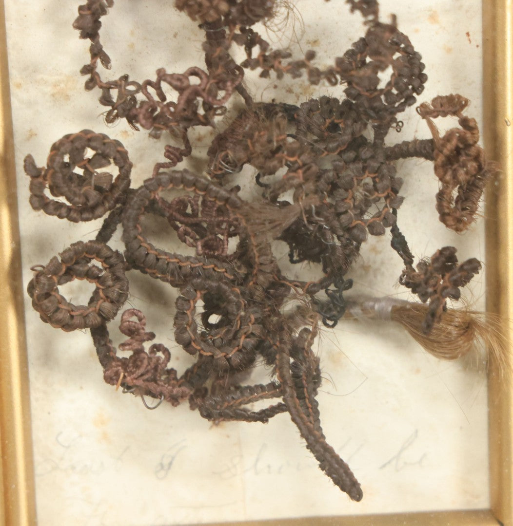 Lot 006 - Antique Victorian Hair Work Flower In Double Frame Shadow Box With Brown Hair, Note Not Original Frame 6-7/8" x 8-7/8"