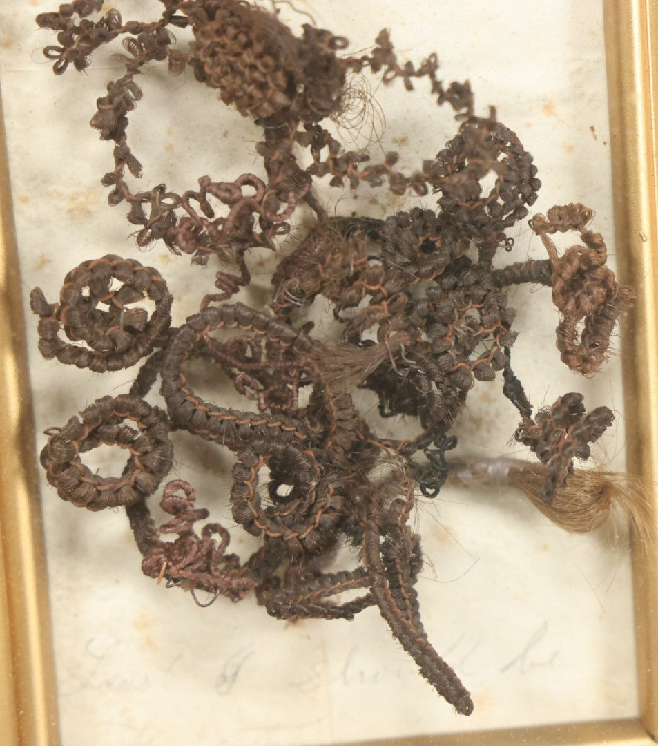 Lot 006 - Antique Victorian Hair Work Flower In Double Frame Shadow Box With Brown Hair, Note Not Original Frame 6-7/8" x 8-7/8"