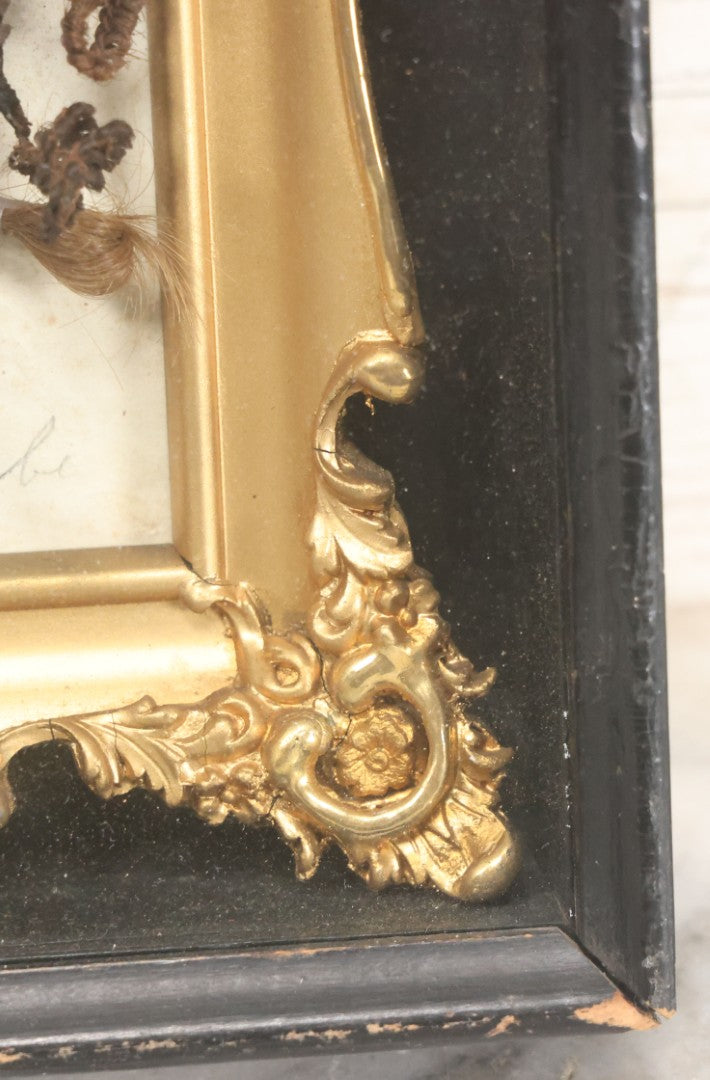 Lot 006 - Antique Victorian Hair Work Flower In Double Frame Shadow Box With Brown Hair, Note Not Original Frame 6-7/8" x 8-7/8"