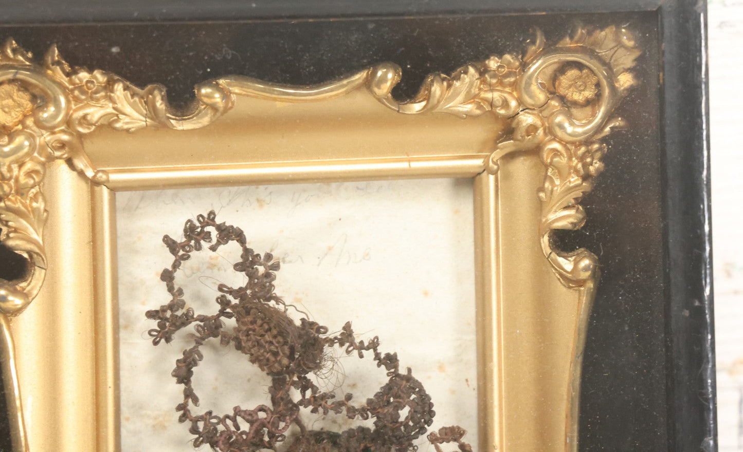 Lot 006 - Antique Victorian Hair Work Flower In Double Frame Shadow Box With Brown Hair, Note Not Original Frame 6-7/8" x 8-7/8"