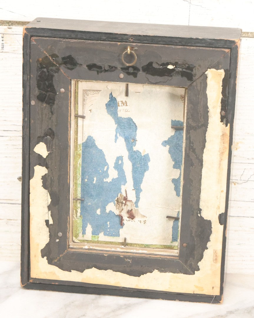 Lot 006 - Antique Victorian Hair Work Flower In Double Frame Shadow Box With Brown Hair, Note Not Original Frame 6-7/8" x 8-7/8"