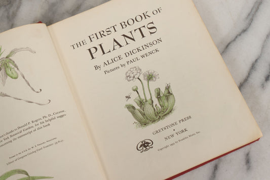 Lot 162 - "The First Book Of Plants" Vintage Book By Alice Dickinson, With Pictures By Paul Wenck, Graystone Press, Publishers, New York, Copyright 1953