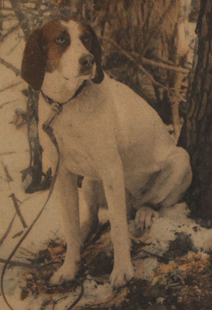 Lot 034 - Antique Hand Tinted Hunting Photograph With Hunting Dog Snowshoes And Rifle, Signed In Pencil Lower Left Homes "The Studio," Chocorua, New Hampshire, In Original Frame, 12-1/2" x 14-1/2"