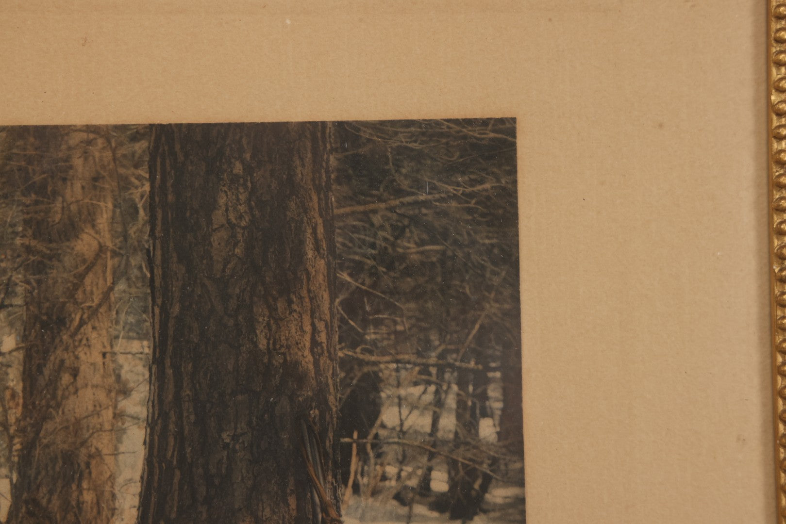 Lot 034 - Antique Hand Tinted Hunting Photograph With Hunting Dog Snowshoes And Rifle, Signed In Pencil Lower Left Homes "The Studio," Chocorua, New Hampshire, In Original Frame, 12-1/2" x 14-1/2"