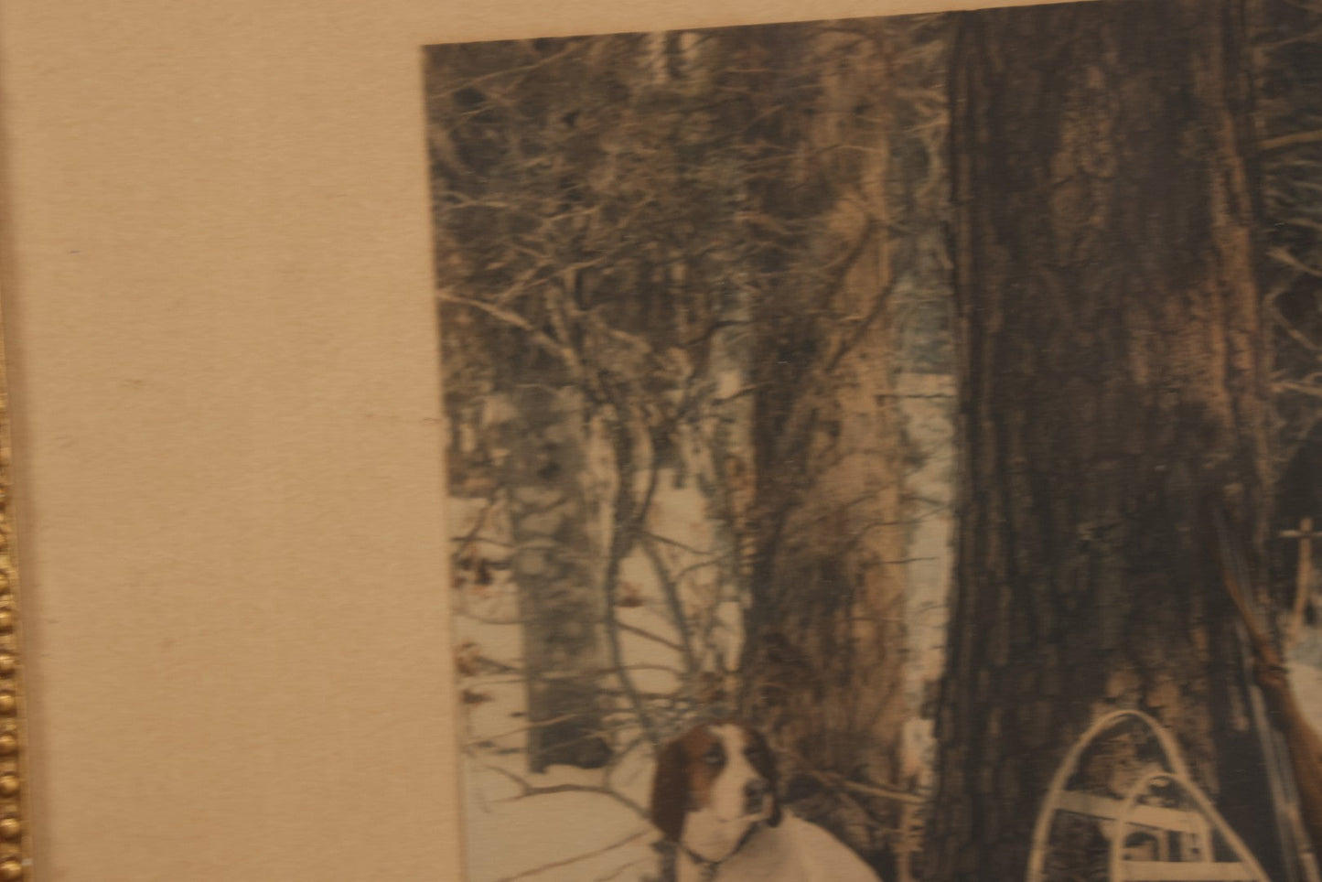 Lot 034 - Antique Hand Tinted Hunting Photograph With Hunting Dog Snowshoes And Rifle, Signed In Pencil Lower Left Homes "The Studio," Chocorua, New Hampshire, In Original Frame, 12-1/2" x 14-1/2"