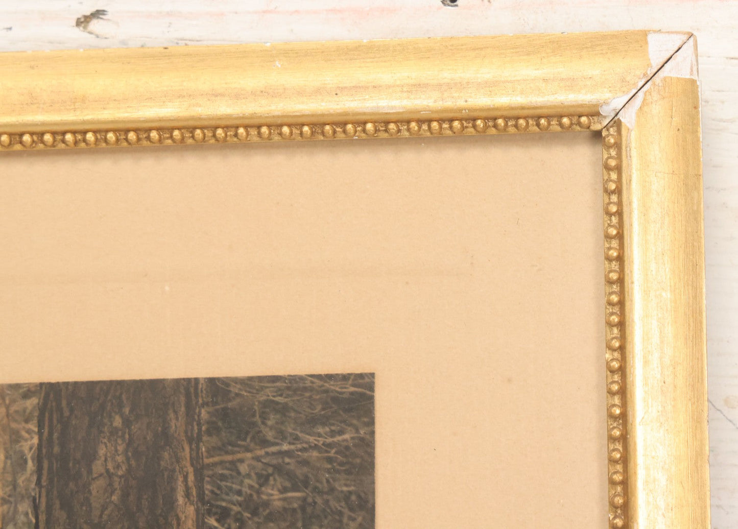 Lot 034 - Antique Hand Tinted Hunting Photograph With Hunting Dog Snowshoes And Rifle, Signed In Pencil Lower Left Homes "The Studio," Chocorua, New Hampshire, In Original Frame, 12-1/2" x 14-1/2"