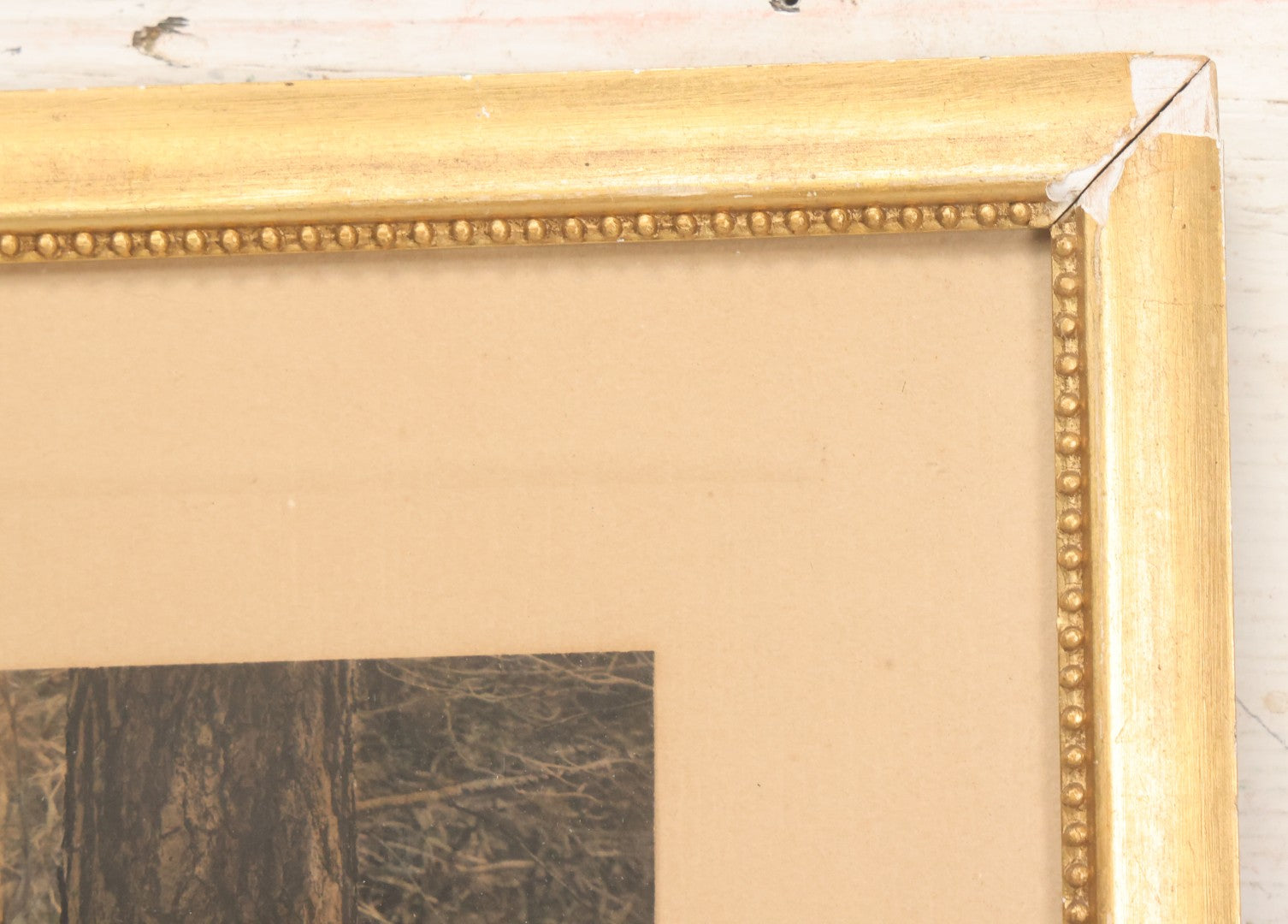 Lot 034 - Antique Hand Tinted Hunting Photograph With Hunting Dog Snowshoes And Rifle, Signed In Pencil Lower Left Homes "The Studio," Chocorua, New Hampshire, In Original Frame, 12-1/2" x 14-1/2"