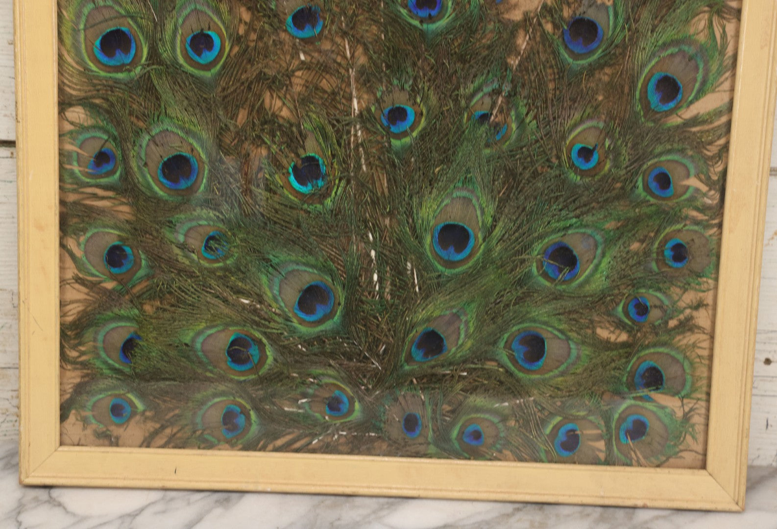 Lot 037 - Vintage Framed Real Peacock Feathers Display, As Found, Note Many Feathers Have Deteriorated, 19-1/4" x 22"