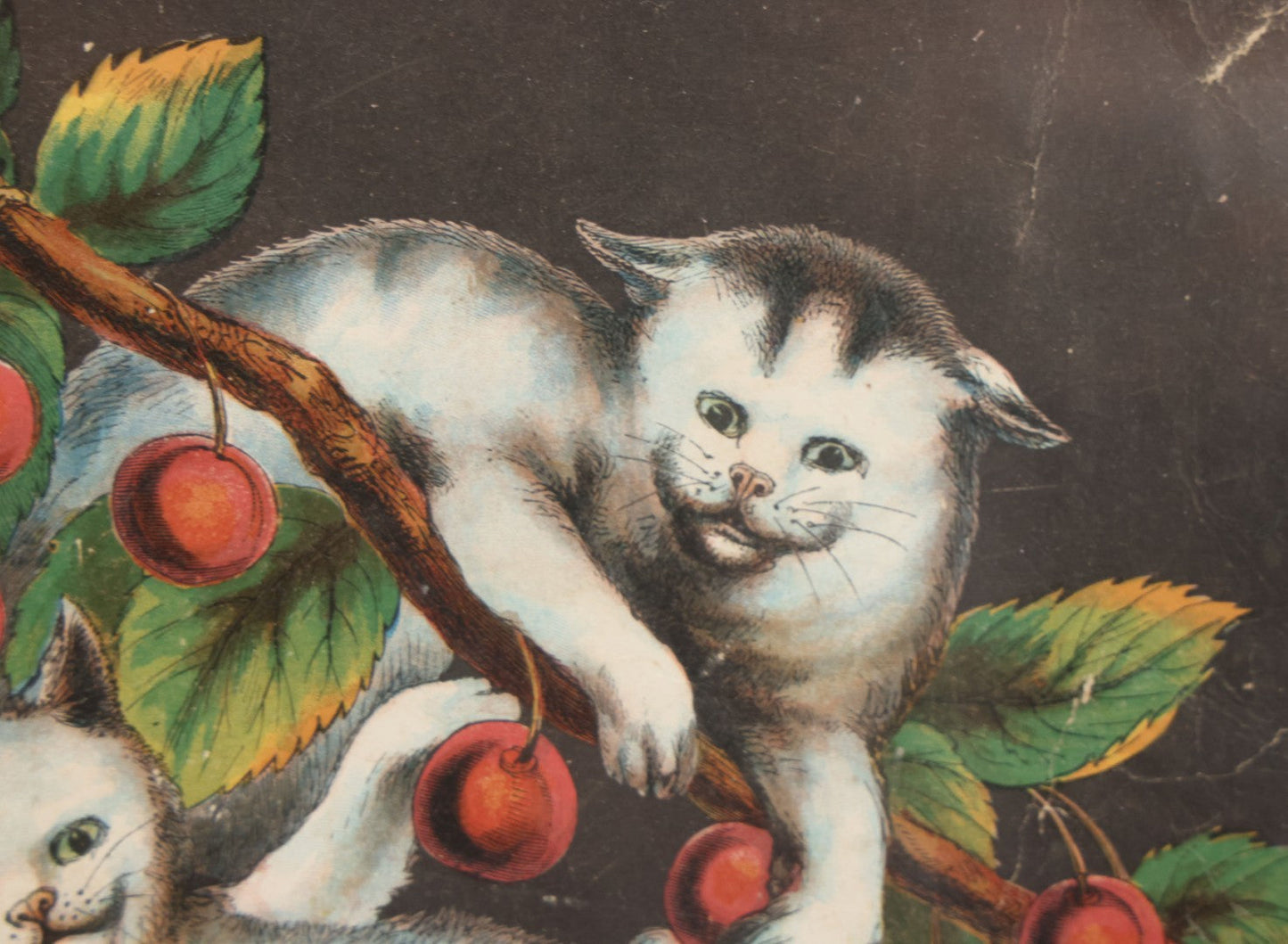 Lot 038 - Antique Chromolithograph Print Of Two Playful Cats In Cherry Tree In Deep Period Frame, 11-3/4" x 13-3/4"