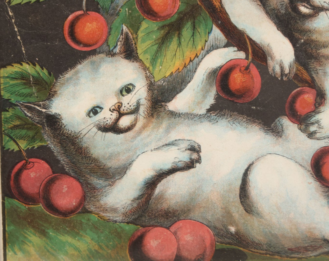 Lot 038 - Antique Chromolithograph Print Of Two Playful Cats In Cherry Tree In Deep Period Frame, 11-3/4" x 13-3/4"
