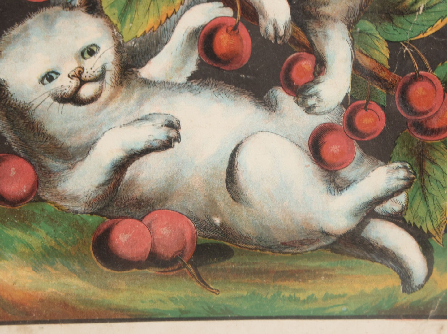 Lot 038 - Antique Chromolithograph Print Of Two Playful Cats In Cherry Tree In Deep Period Frame, 11-3/4" x 13-3/4"