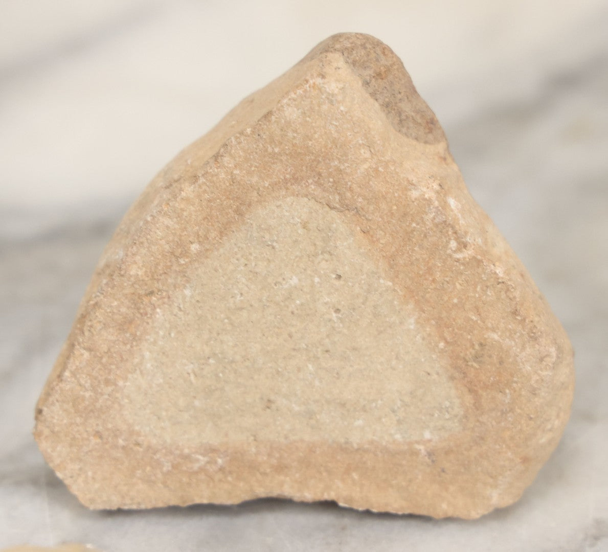 Lot 051 - Fossil Grouping With 4+ Pieces Including Fossilized Shells, And Other Small Fragments, Collected In Death Valley, Circa 1929