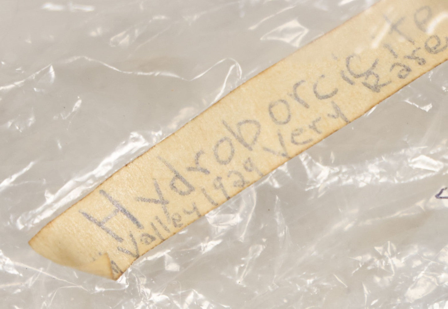 Lot 051 - Fossil Grouping With 4+ Pieces Including Fossilized Shells, And Other Small Fragments, Collected In Death Valley, Circa 1929