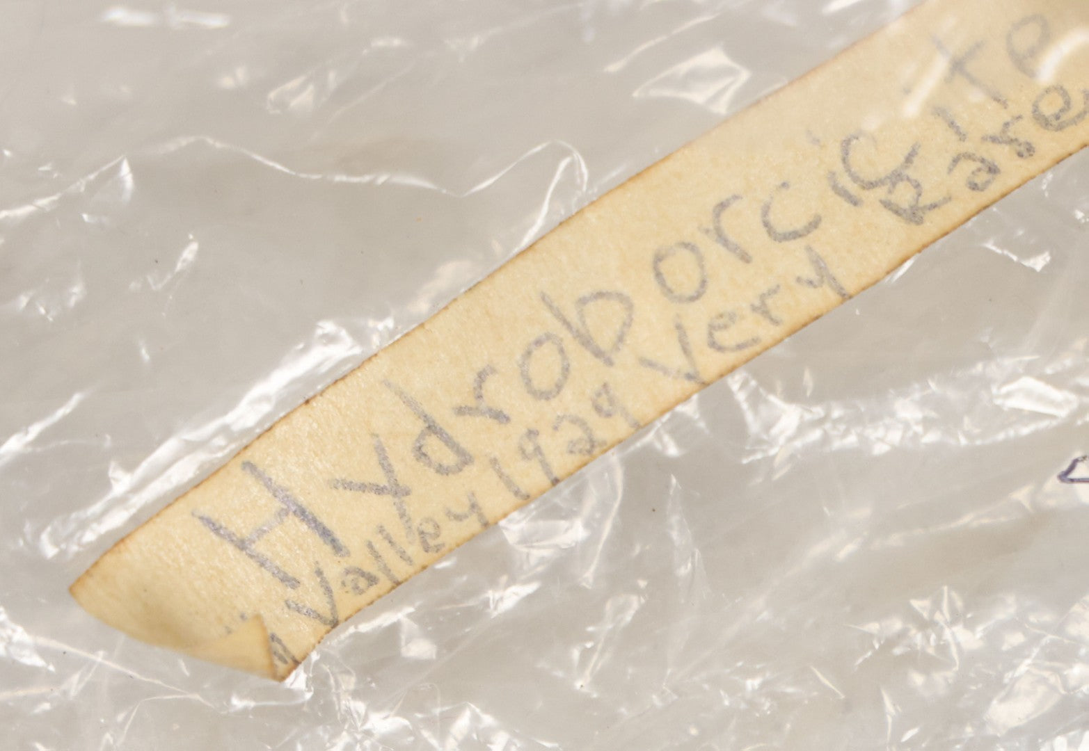 Lot 051 - Fossil Grouping With 4+ Pieces Including Fossilized Shells, And Other Small Fragments, Collected In Death Valley, Circa 1929