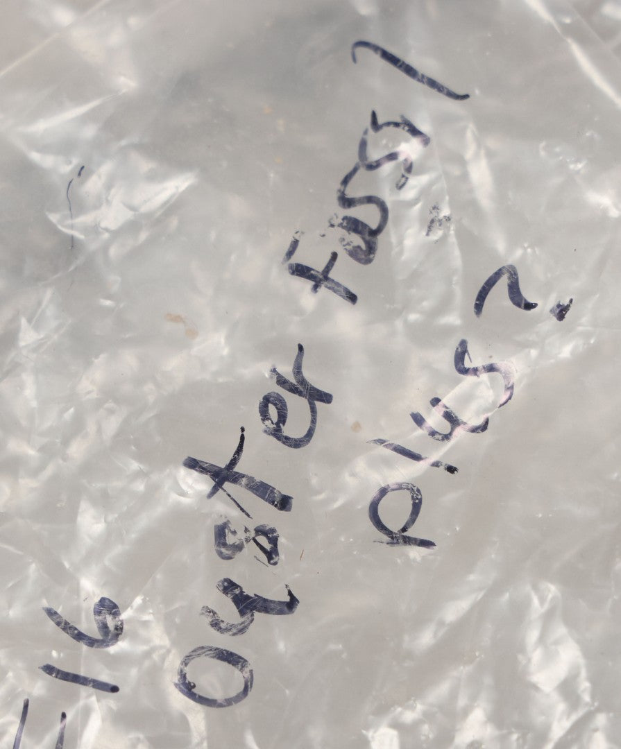 Lot 051 - Fossil Grouping With 4+ Pieces Including Fossilized Shells, And Other Small Fragments, Collected In Death Valley, Circa 1929