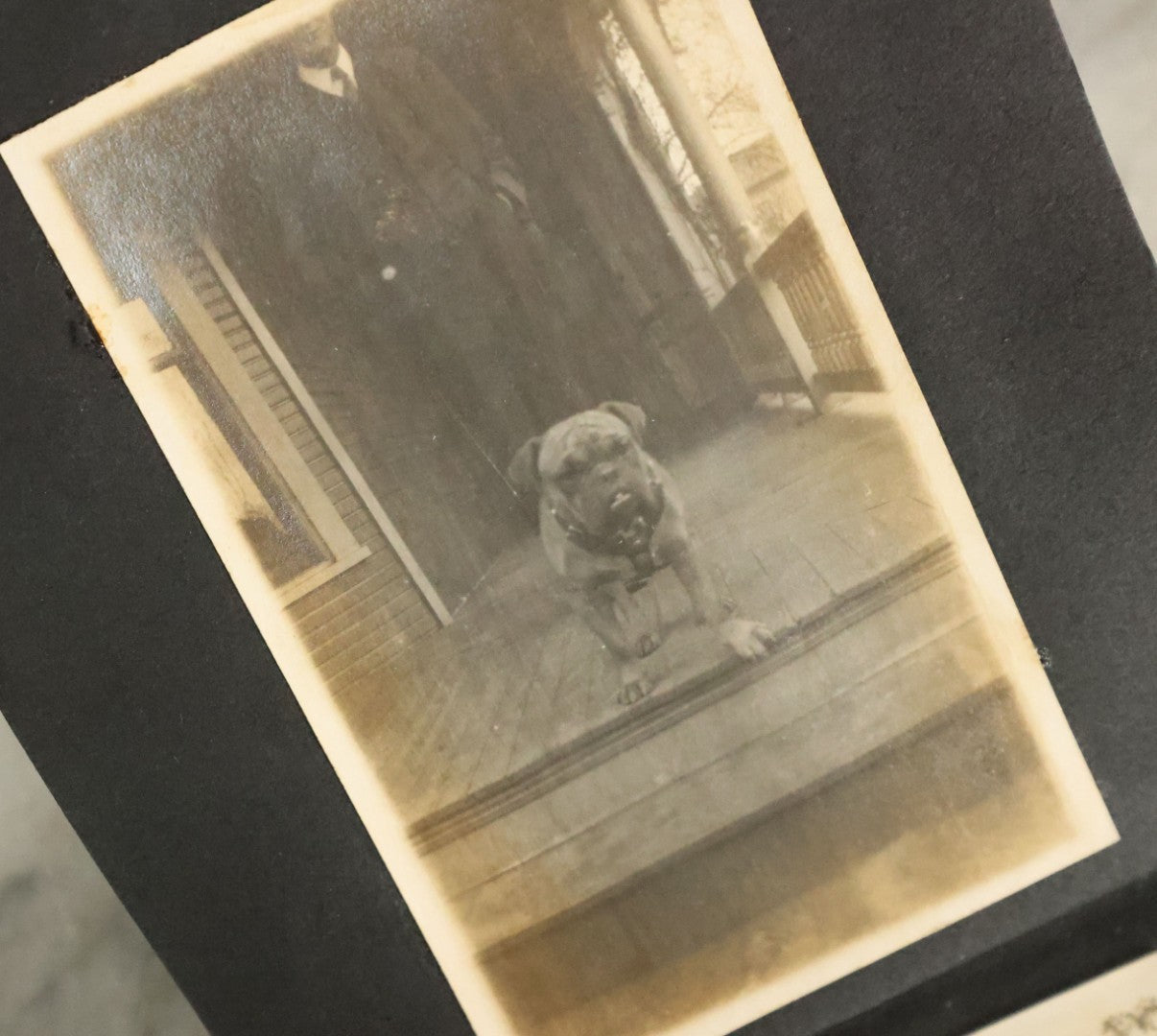 Lot 056 - Antique Snapshot Photo Album Featuring Many Photos Of Young Adults And Children Including Photos Of A Handsome Bulldog, A Trip Aboard A Steamship, And People Posing Outdoors, Circa 1920s