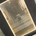 Lot 056 - Antique Snapshot Photo Album Featuring Many Photos Of Young Adults And Children Including Photos Of A Handsome Bulldog, A Trip Aboard A Steamship, And People Posing Outdoors, Circa 1920s