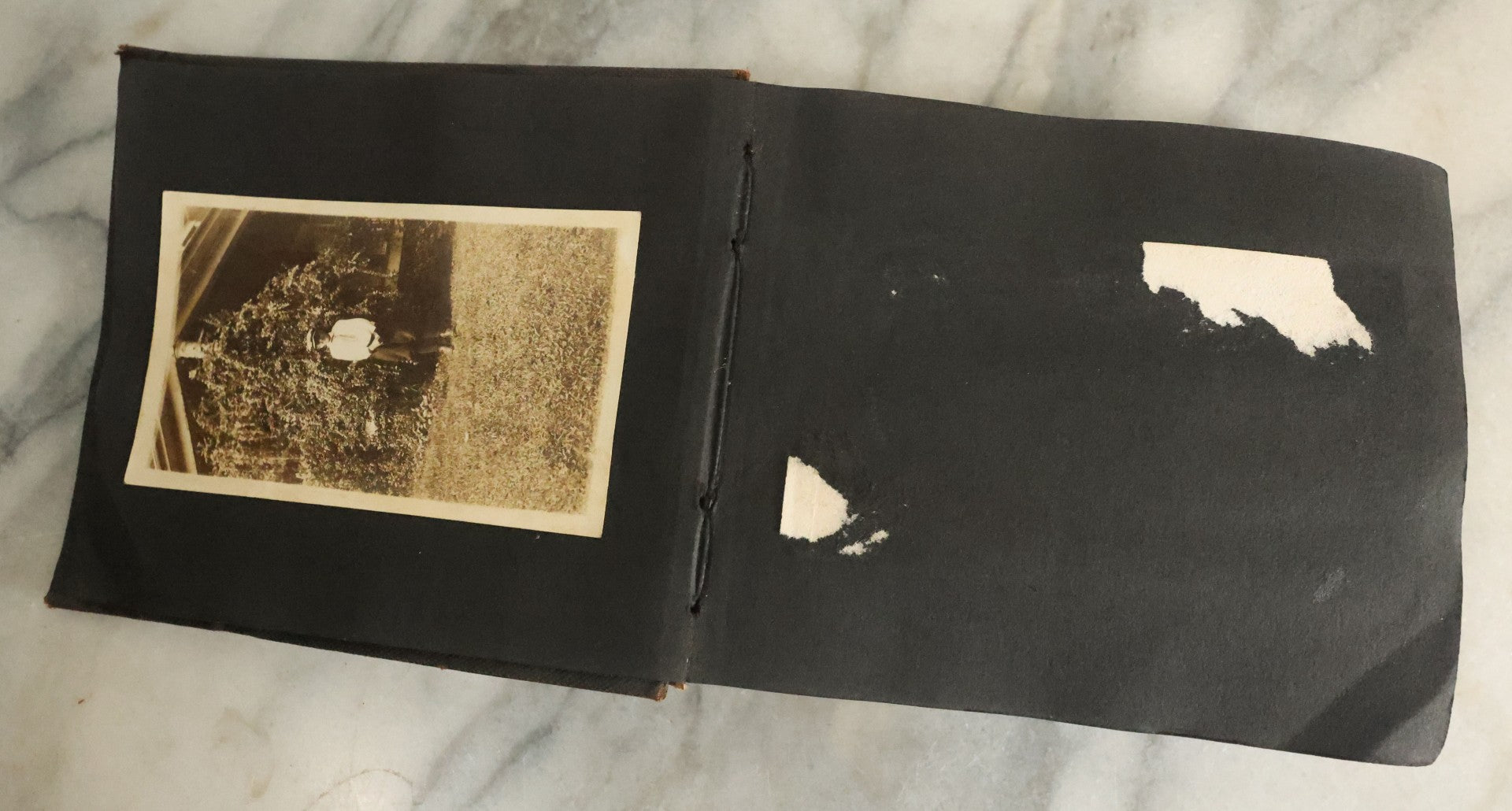 Lot 056 - Antique Snapshot Photo Album Featuring Many Photos Of Young Adults And Children Including Photos Of A Handsome Bulldog, A Trip Aboard A Steamship, And People Posing Outdoors, Circa 1920s
