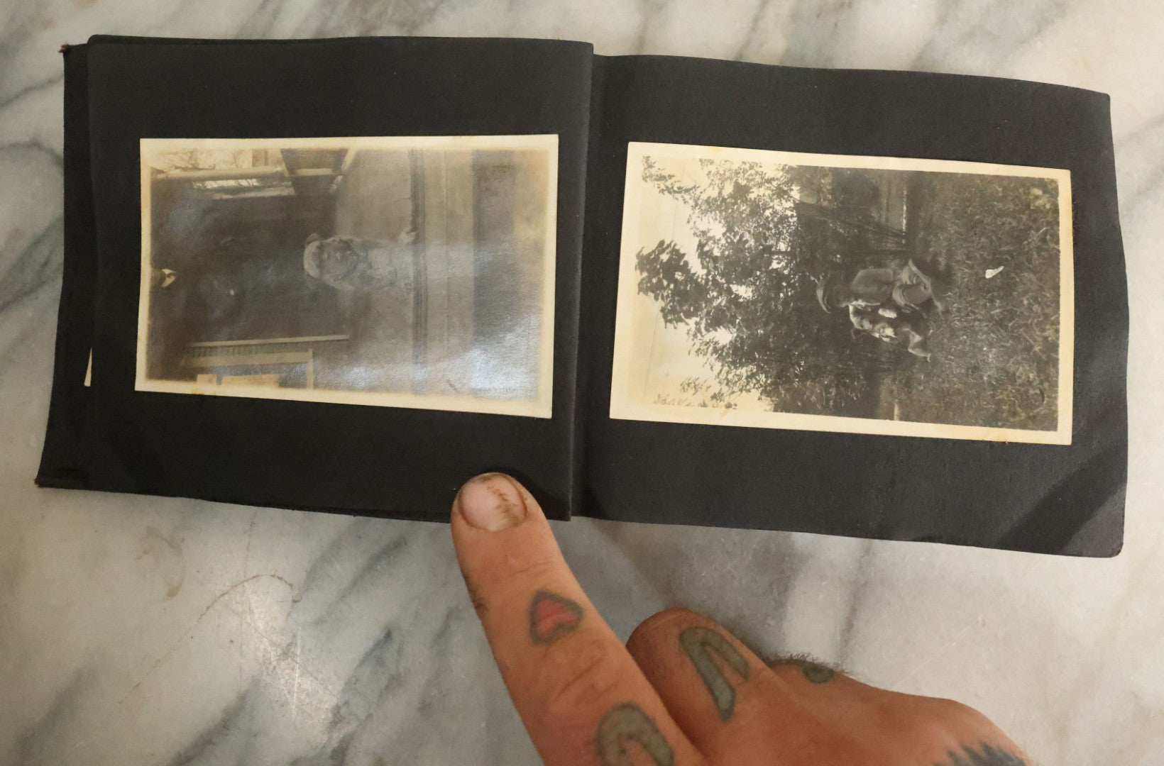 Lot 056 - Antique Snapshot Photo Album Featuring Many Photos Of Young Adults And Children Including Photos Of A Handsome Bulldog, A Trip Aboard A Steamship, And People Posing Outdoors, Circa 1920s