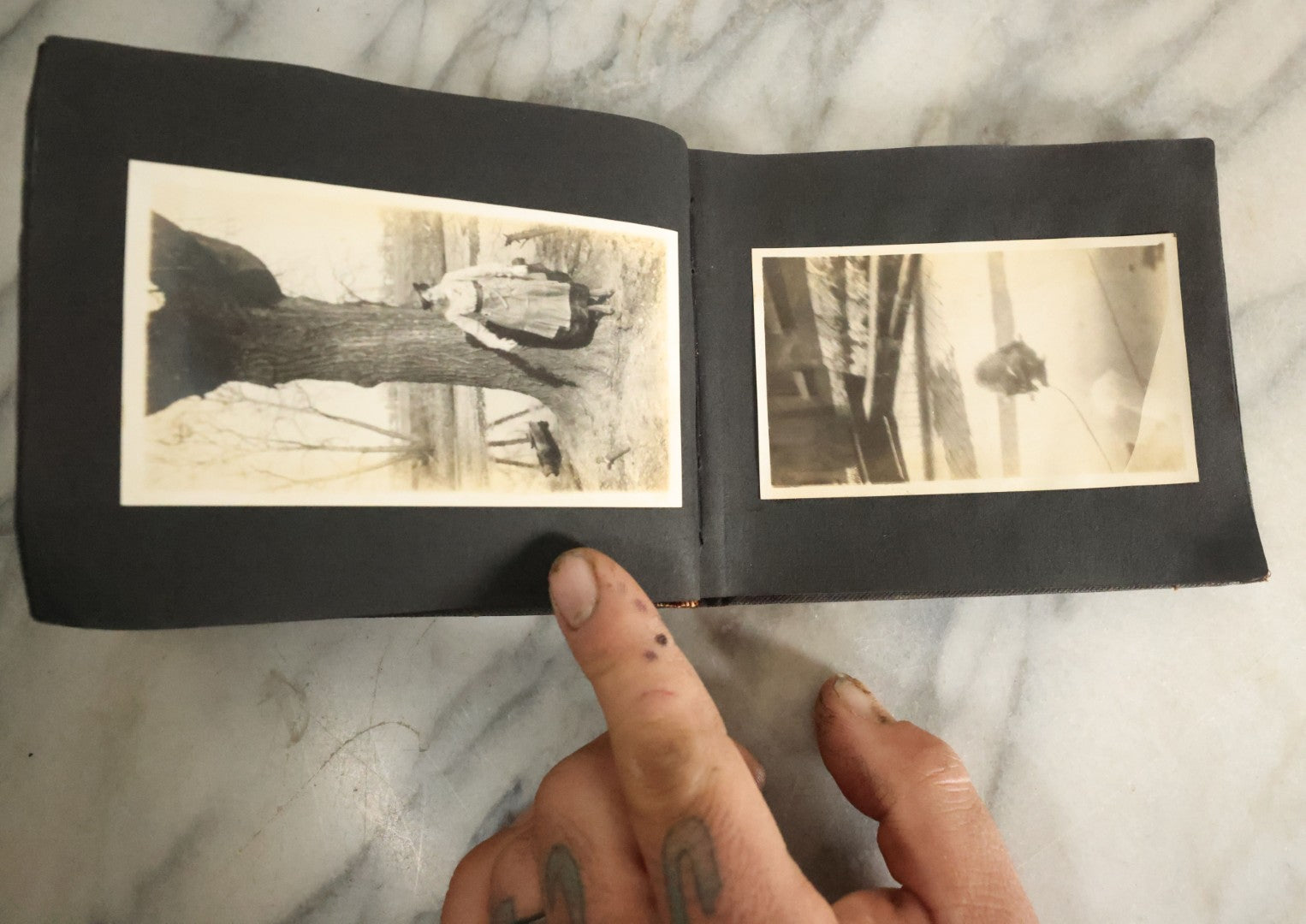 Lot 056 - Antique Snapshot Photo Album Featuring Many Photos Of Young Adults And Children Including Photos Of A Handsome Bulldog, A Trip Aboard A Steamship, And People Posing Outdoors, Circa 1920s