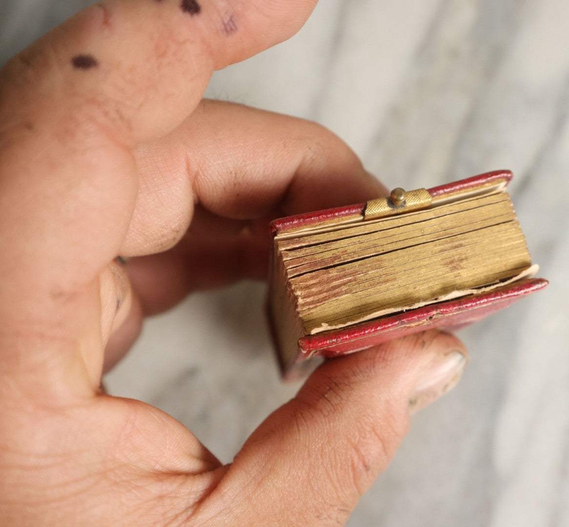 Lot 058 - Antique Gem Tintype Photo Album With 19 Tintype Photographs With Many Of Children Including Hidden Mother, Handwritten Note States "From The Colby Home On Colby Road"
