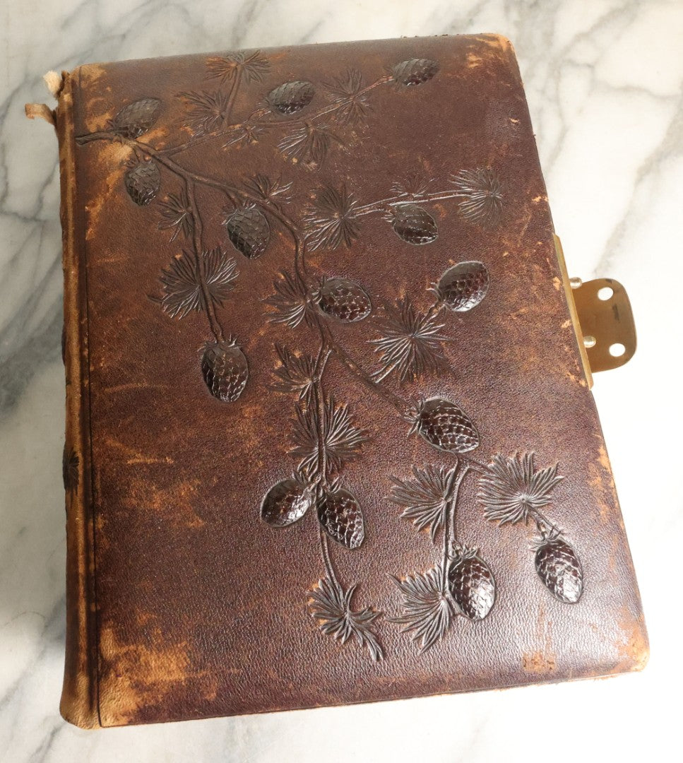 Lot 059 - Antique Photo And Keepsake Album With Cabinet Card, Tintype, And C.D.V. Photos, Remembrance Card & Hair From Mrs. Laura E. Little, Hidden Mother Tintype With Scratched Out Face, Photo Of Back Of Woman's Hair, Textile Keepsakes, Pressed Foliage