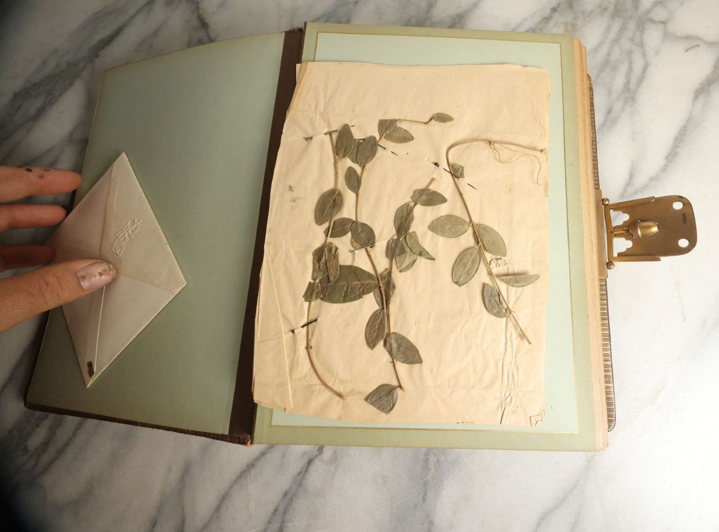 Lot 059 - Antique Photo And Keepsake Album With Cabinet Card, Tintype, And C.D.V. Photos, Remembrance Card & Hair From Mrs. Laura E. Little, Hidden Mother Tintype With Scratched Out Face, Photo Of Back Of Woman's Hair, Textile Keepsakes, Pressed Foliage