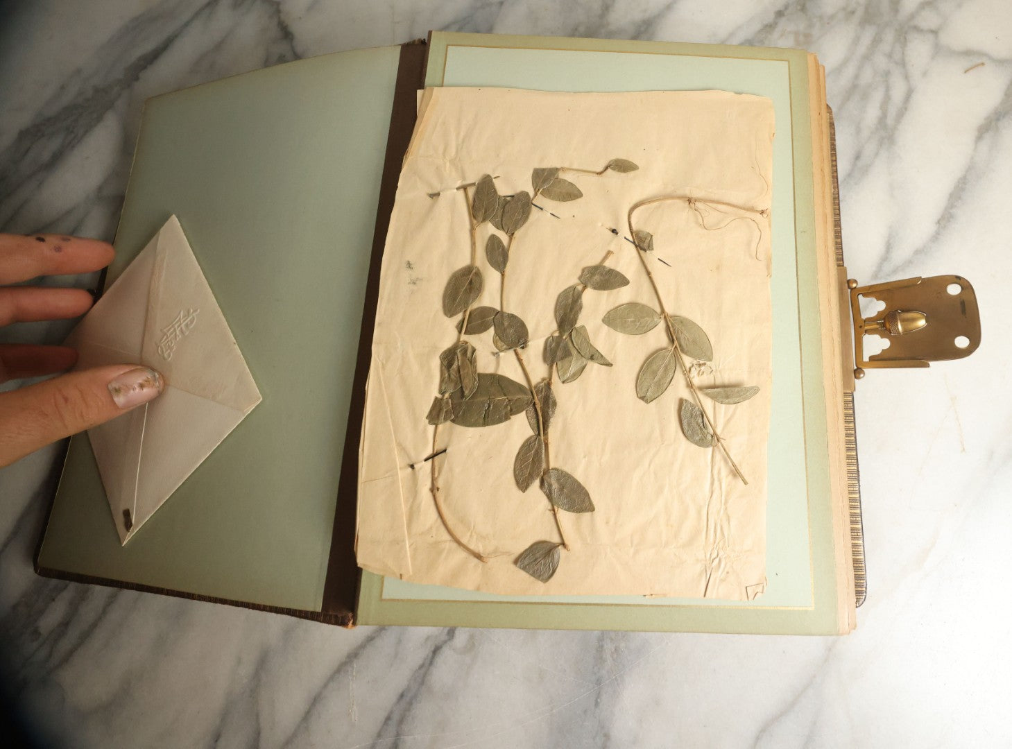 Lot 059 - Antique Photo And Keepsake Album With Cabinet Card, Tintype, And C.D.V. Photos, Remembrance Card & Hair From Mrs. Laura E. Little, Hidden Mother Tintype With Scratched Out Face, Photo Of Back Of Woman's Hair, Textile Keepsakes, Pressed Foliage