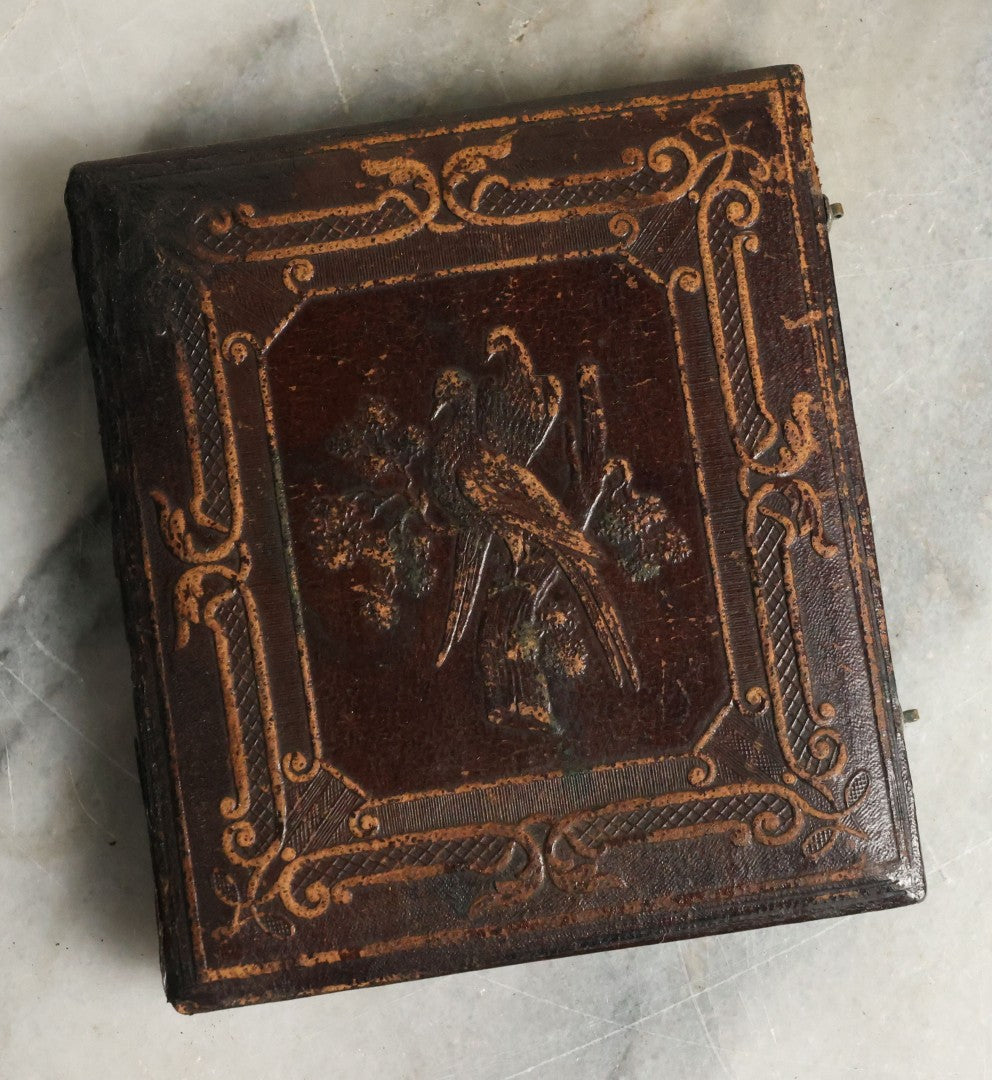 Lot 063 - Antique 1/6th Plate Daguerreotype Photograph With Middle Age Woman With White Hair Wearing White Bonnet And Scarf, In Split Leatherette Union Case With Bird Design