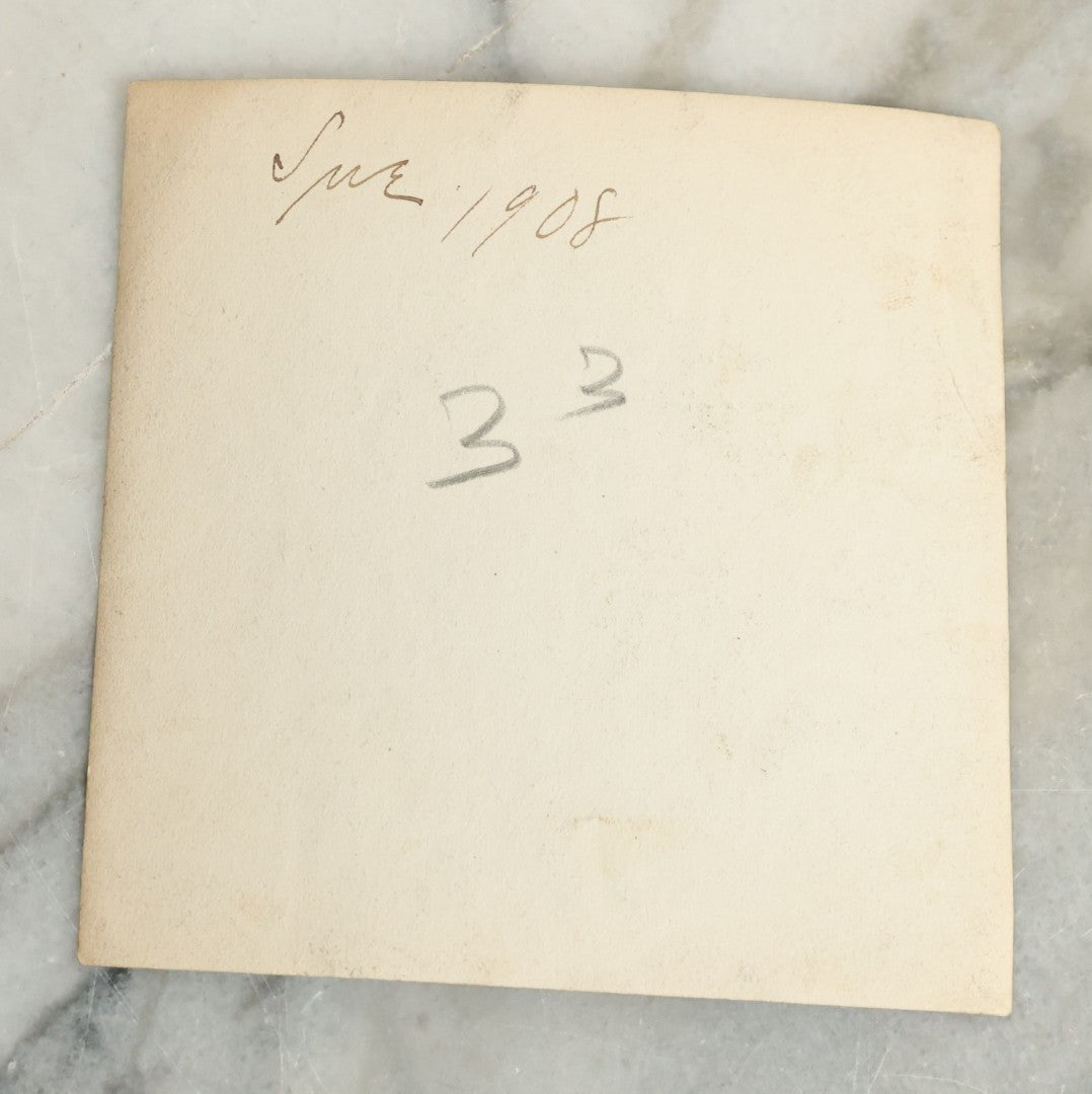 Lot 081 - Antique Snapshot Photograph Of Silly Young Woman Sticking Her Face Through Some Kind Of Cake, Photo Dated June 1908