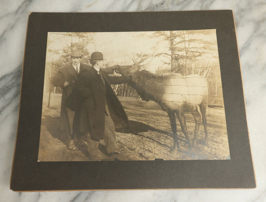 Lot 082 - Antique Boarded Photograph Of Two Men Petting An Elk Through A Chicken Wire Fence