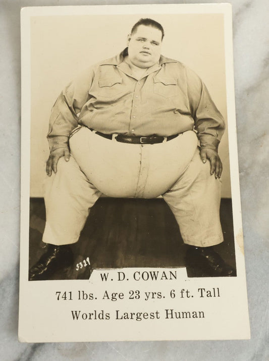 Lot 094 - Antique Real Photo Postcard R.P.P.C. Pitch Card Of W.D. Cowan, 741 Lbs. Aged 23 Years, 6 Feet Tall, World's Largest Human